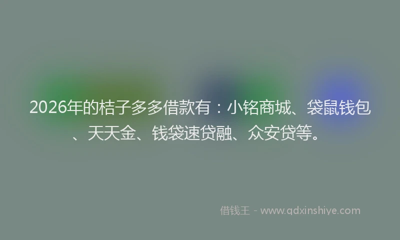 2026年的桔子多多借款有：小铭商城、袋鼠钱包、天天金、钱袋速贷融、众安贷等。