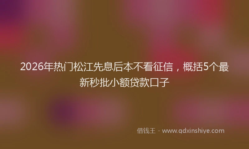 2026年热门松江先息后本不看征信，概括5个最新秒批小额贷款口子