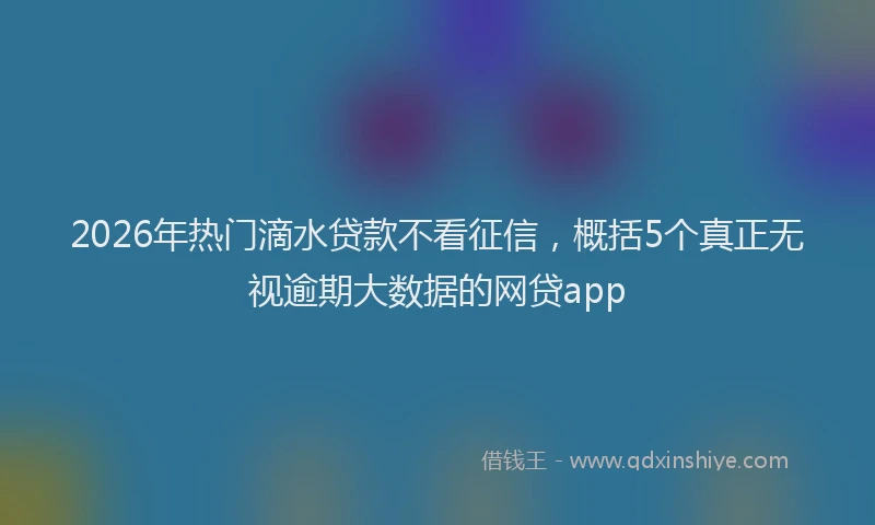 2026年热门滴水贷款不看征信，概括5个真正无视逾期大数据的网贷app