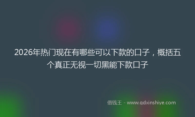 2026年热门现在有哪些可以下款的口子，概括五个真正无视一切黑能下款口子