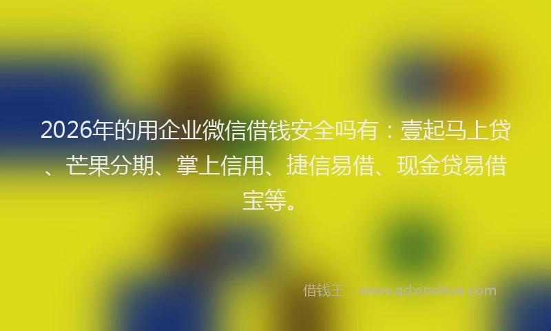 2026年的用企业微信借钱安全吗有：壹起马上贷、芒果分期、掌上信用、捷信易借、现金贷易借宝等。