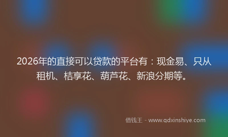 2026年的直接可以贷款的平台有：现金易、只从租机、桔享花、葫芦花、新浪分期等。