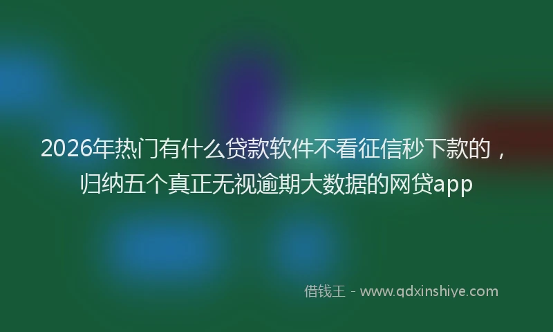 2026年热门有什么贷款软件不看征信秒下款的，归纳五个真正无视逾期大数据的网贷app