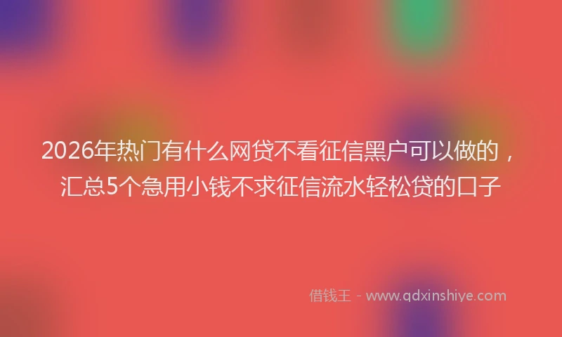 2026年热门有什么网贷不看征信黑户可以做的，汇总5个急用小钱不求征信流水轻松贷的口子