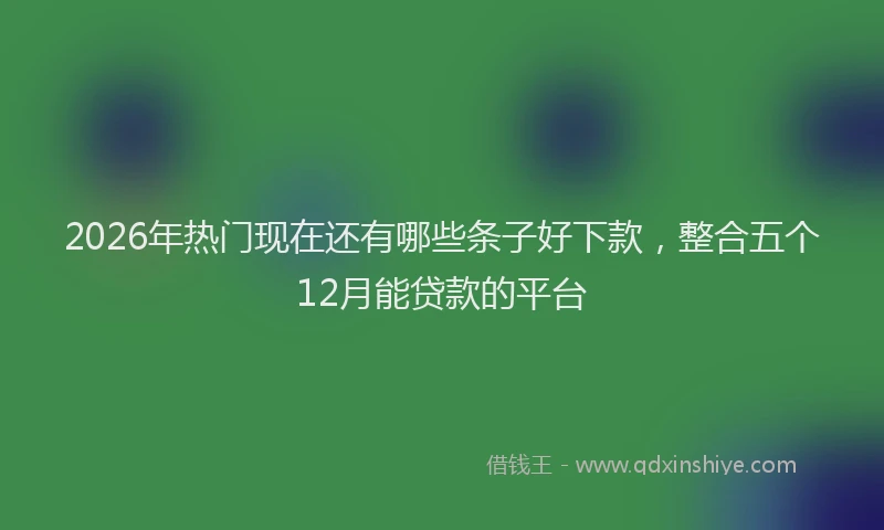 2026年热门现在还有哪些条子好下款，整合五个12月能贷款的平台
