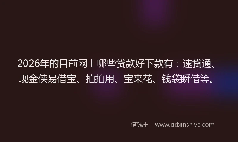 2026年的目前网上哪些贷款好下款有：速贷通、现金侠易借宝、拍拍用、宝来花、钱袋瞬借等。