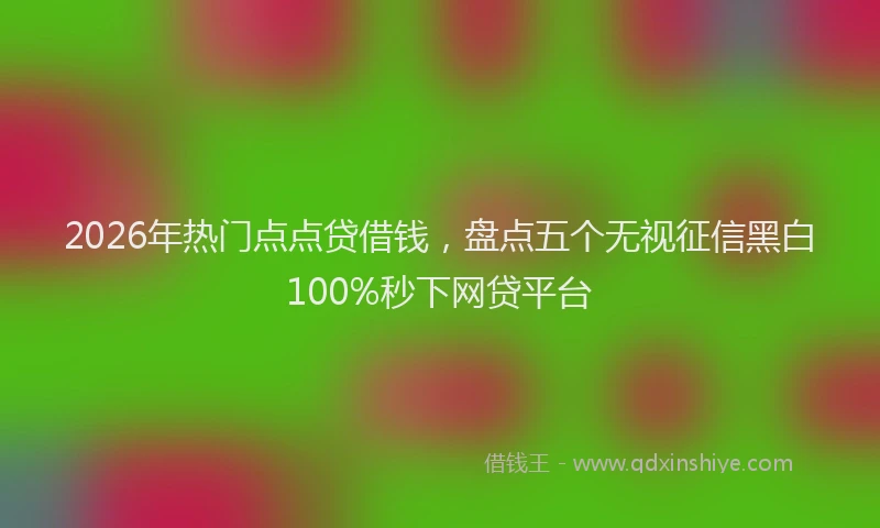 2026年热门点点贷借钱，盘点五个无视征信黑白100%秒下网贷平台