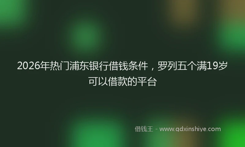 2026年热门浦东银行借钱条件，罗列五个满19岁可以借款的平台