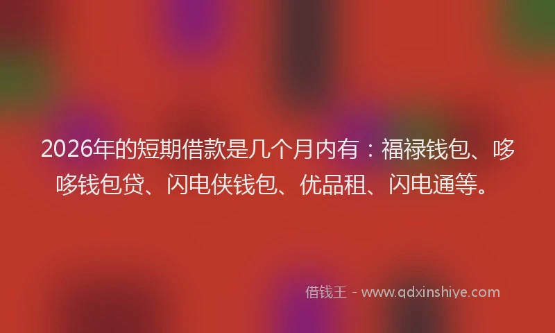 2026年的短期借款是几个月内有：福禄钱包、哆哆钱包贷、闪电侠钱包、优品租、闪电通等。