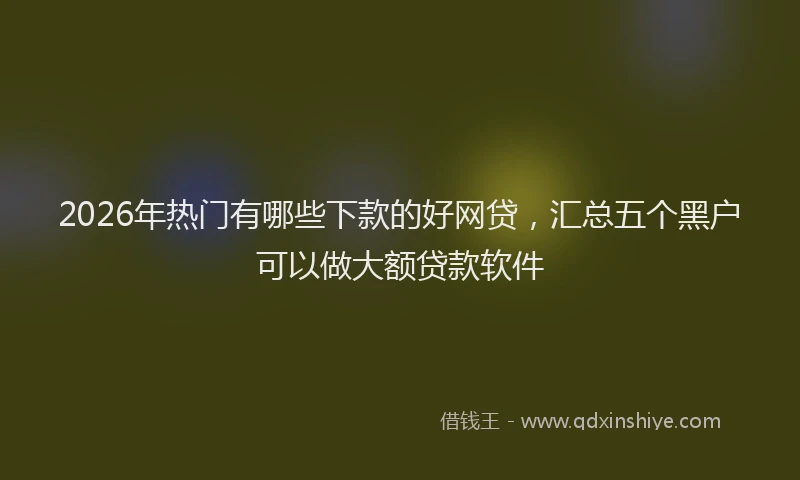 2026年热门有哪些下款的好网贷，汇总五个黑户可以做大额贷款软件