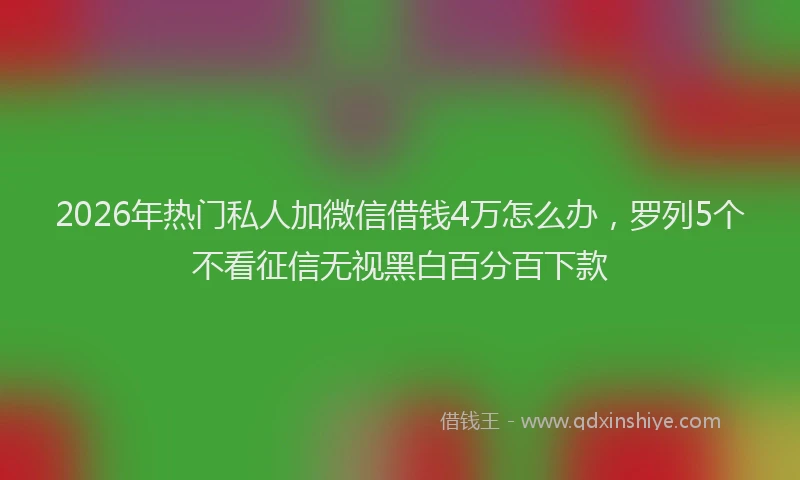 2026年热门私人加微信借钱4万怎么办，罗列5个不看征信无视黑白百分百下款