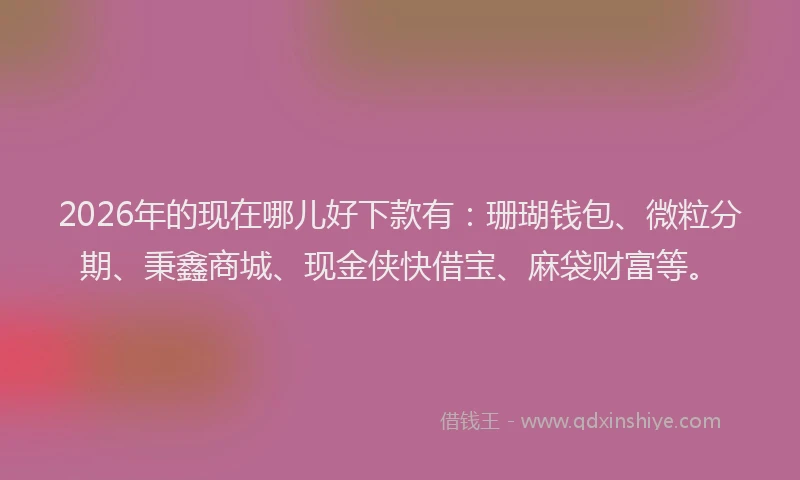 2026年的现在哪儿好下款有：珊瑚钱包、微粒分期、秉鑫商城、现金侠快借宝、麻袋财富等。