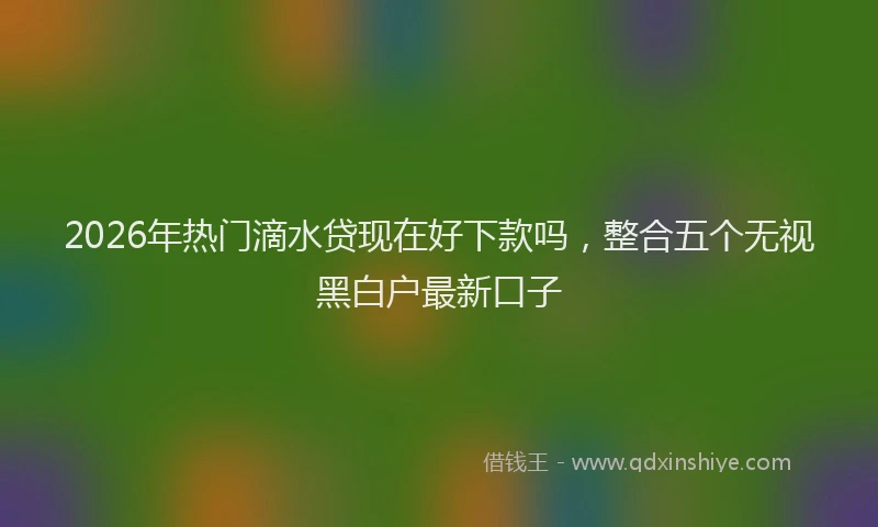 2026年热门滴水贷现在好下款吗，整合五个无视黑白户最新口子