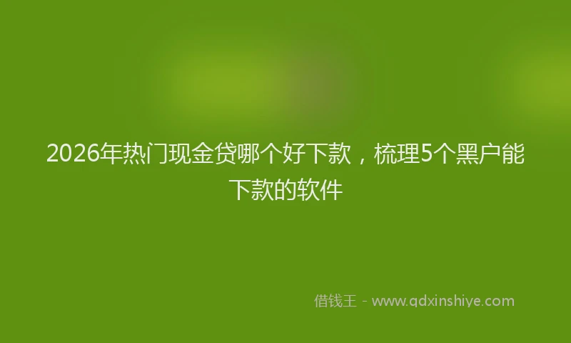 2026年热门现金贷哪个好下款,梳理5个黑户能下款的软件