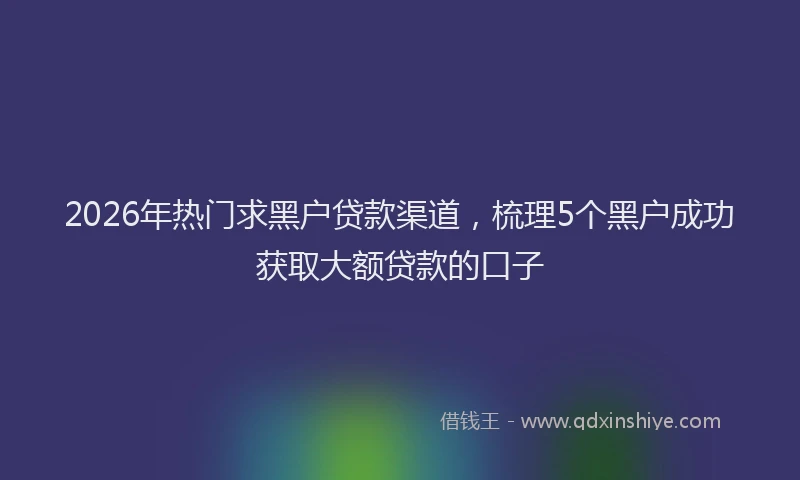 2026年热门求黑户贷款渠道，梳理5个黑户成功获取大额贷款的口子