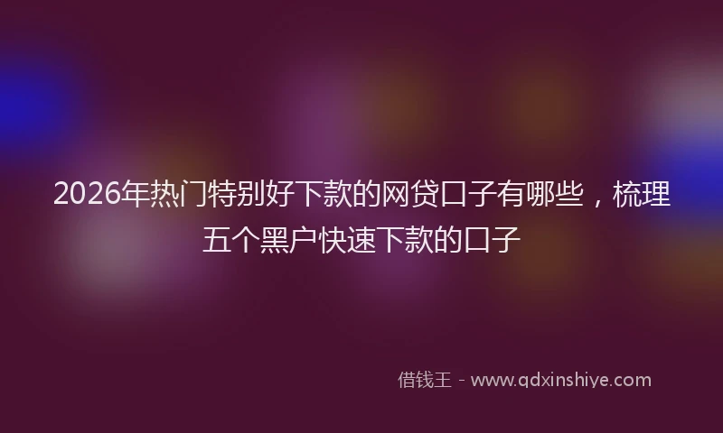 2026年热门特别好下款的网贷口子有哪些,梳理五个黑户快速下款的口子
