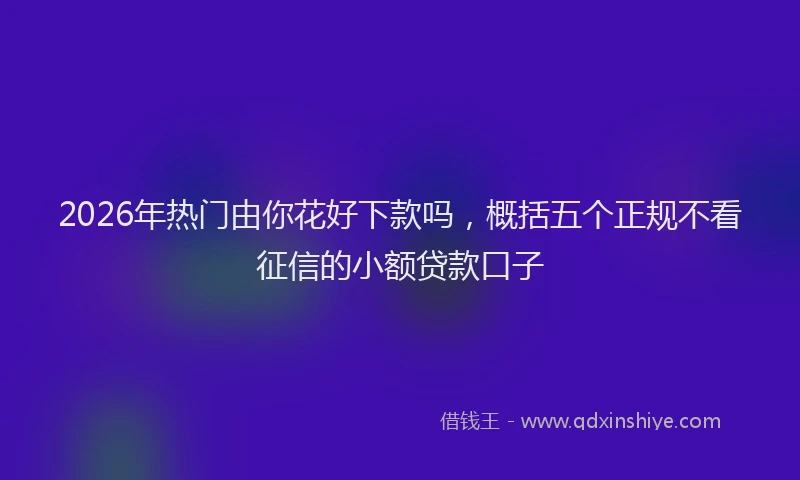 2026年热门由你花好下款吗，概括五个正规不看征信的小额贷款口子