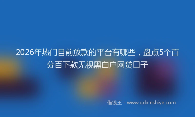 2026年热门目前放款的平台有哪些，盘点5个百分百下款无视黑白户网贷口子