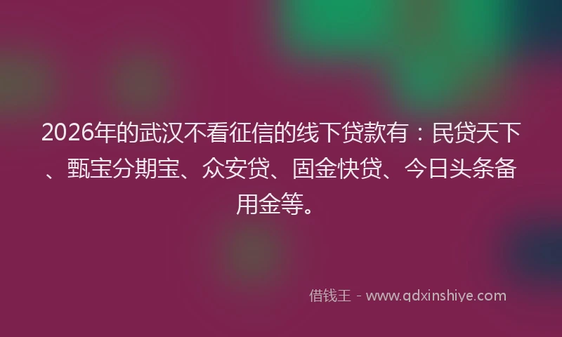 2026年的武汉不看征信的线下贷款有：民贷天下、甄宝分期宝、众安贷、固金快贷、今日头条备用金等。