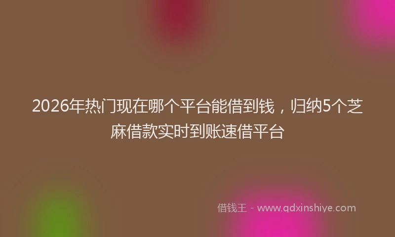 2026年热门现在哪个平台能借到钱，归纳5个芝麻借款实时到账速借平台