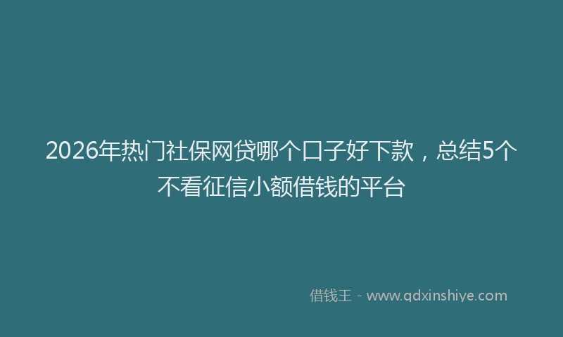 2026年热门社保网贷哪个口子好下款，总结5个不看征信小额借钱的平台
