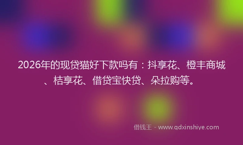 2026年的现贷猫好下款吗有:抖享花、橙丰商城、桔享花、借贷宝快贷、朵拉购等。