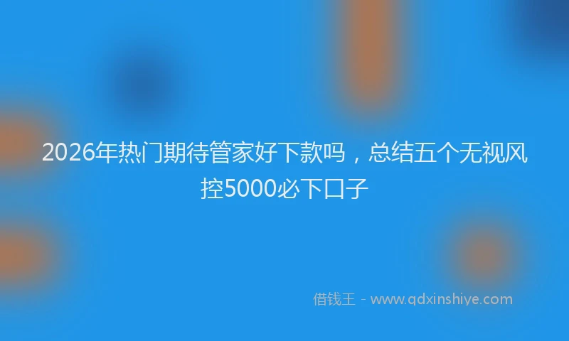 2026年热门期待管家好下款吗,总结五个无视风控5000必下口子