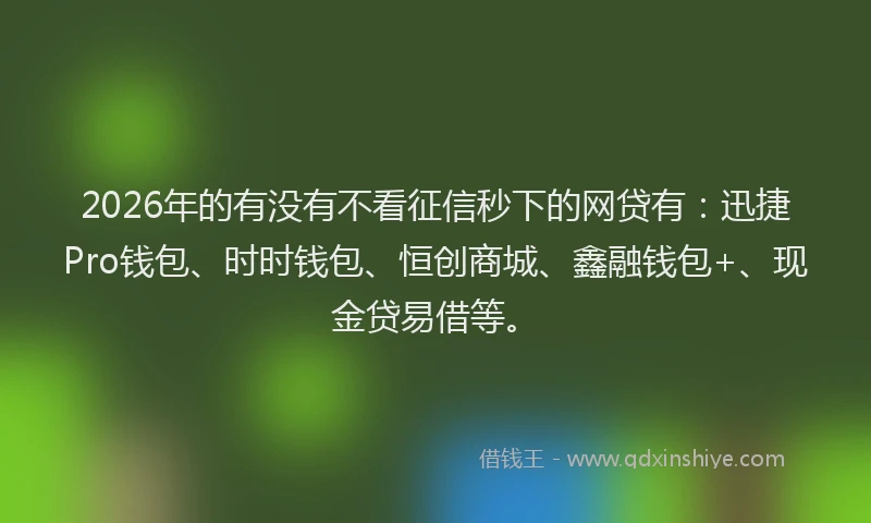 2026年的有没有不看征信秒下的网贷有：迅捷Pro钱包、时时钱包、恒创商城、鑫融钱包+、现金贷易借等。