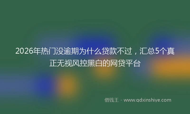 2026年热门没逾期为什么贷款不过，汇总5个真正无视风控黑白的网贷平台