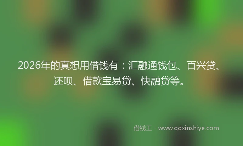 2026年的真想用借钱有：汇融通钱包、百兴贷、还呗、借款宝易贷、快融贷等。