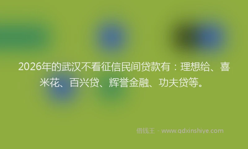2026年的武汉不看征信民间贷款有：理想给、喜米花、百兴贷、辉誉金融、功夫贷等。