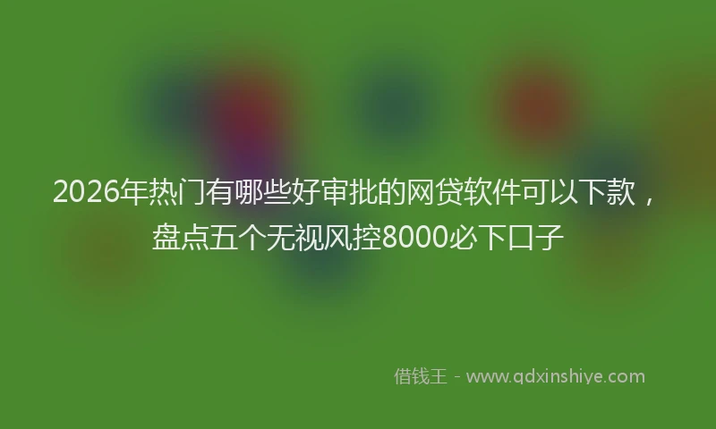 2026年热门有哪些好审批的网贷软件可以下款,盘点五个无视风控8000必下口子