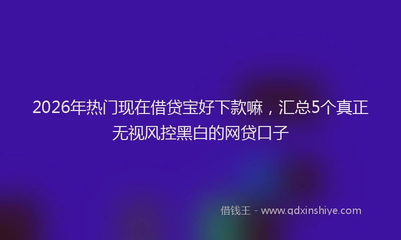 2026年热门现在借贷宝好下款嘛，汇总5个真正无视风控黑白的网贷口子