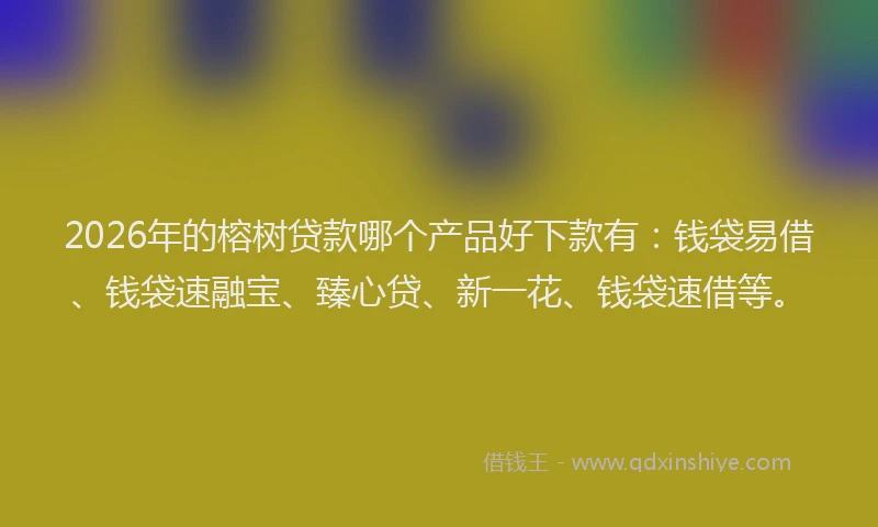 2026年的榕树贷款哪个产品好下款有：钱袋易借、钱袋速融宝、臻心贷、新一花、钱袋速借等。