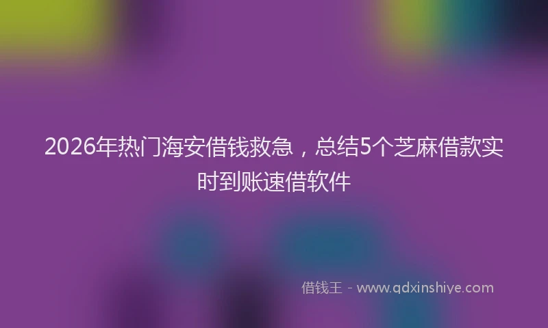 2026年热门海安借钱救急，总结5个芝麻借款实时到账速借软件