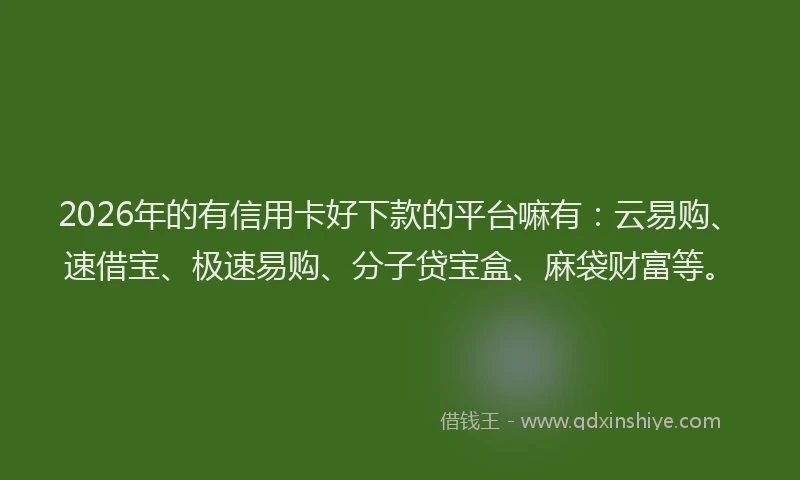 2026年的有信用卡好下款的平台嘛有：云易购、速借宝、极速易购、分子贷宝盒、麻袋财富等。