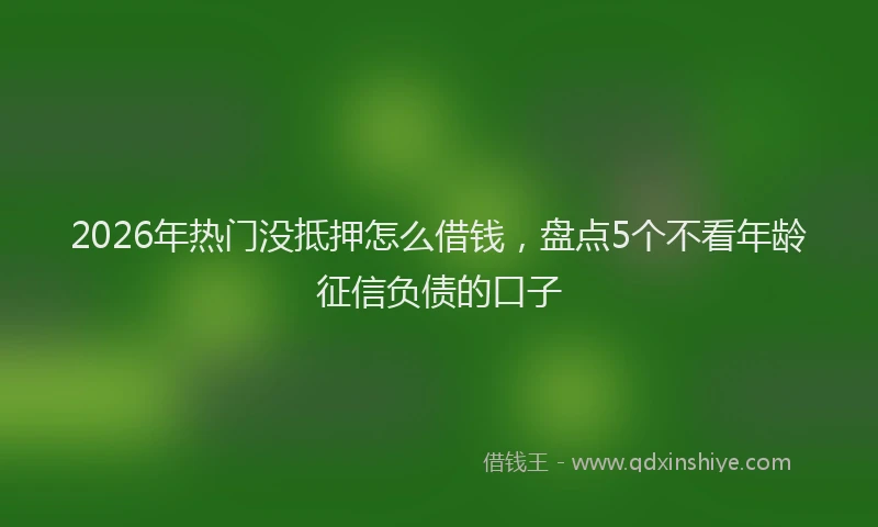 2026年热门没抵押怎么借钱，盘点5个不看年龄征信负债的口子