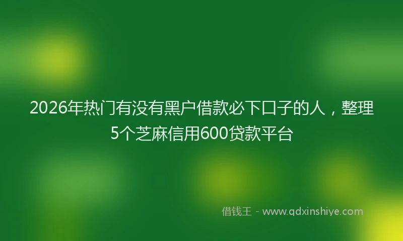 2026年热门有没有黑户借款必下口子的人，整理5个芝麻信用600贷款平台