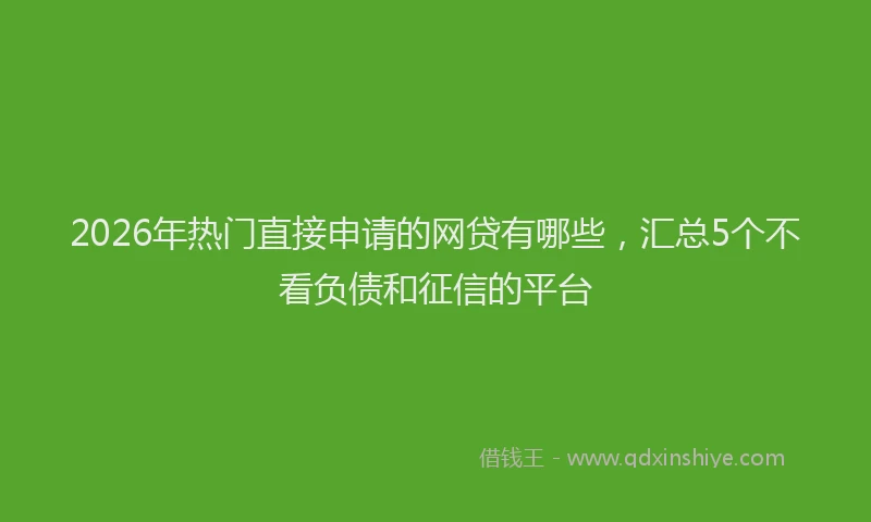 2026年热门直接申请的网贷有哪些，汇总5个不看负债和征信的平台