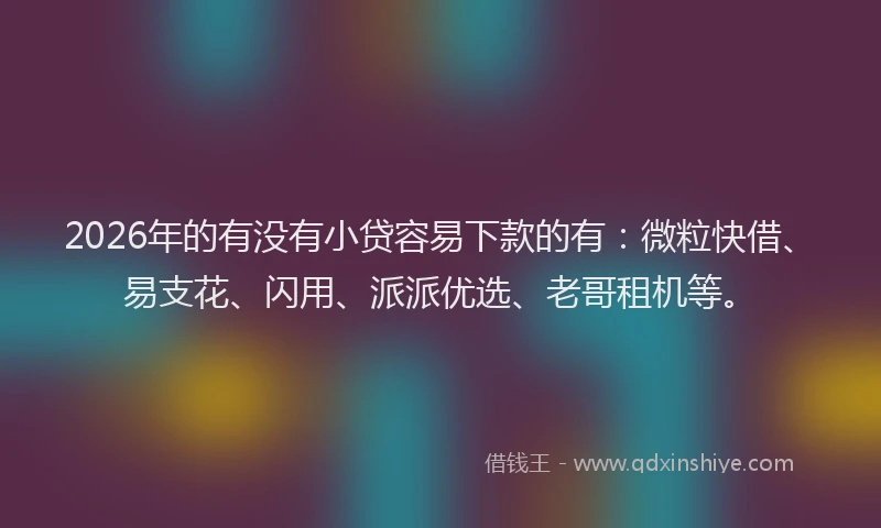 2026年的有没有小贷容易下款的有：微粒快借、易支花、闪用、派派优选、老哥租机等。