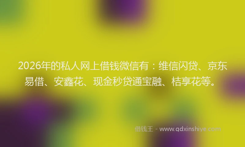 2026年的私人网上借钱微信有：维信闪贷、京东易借、安鑫花、现金秒贷通宝融、桔享花等。