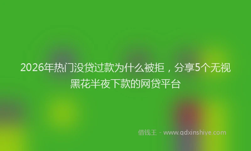 2026年热门没贷过款为什么被拒，分享5个无视黑花半夜下款的网贷平台