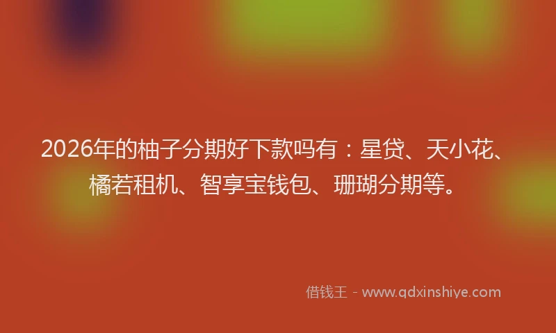 2026年的柚子分期好下款吗有：星贷、天小花、橘若租机、智享宝钱包、珊瑚分期等。