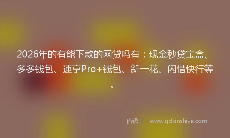 2026年的有能下款的网贷吗有:现金秒贷宝盒、多多钱包、速享Pro+钱包、新一花、闪借快行等。
