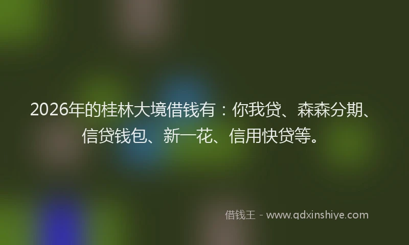 2026年的桂林大境借钱有:你我贷、森森分期、信贷钱包、新一花、信用快贷等。