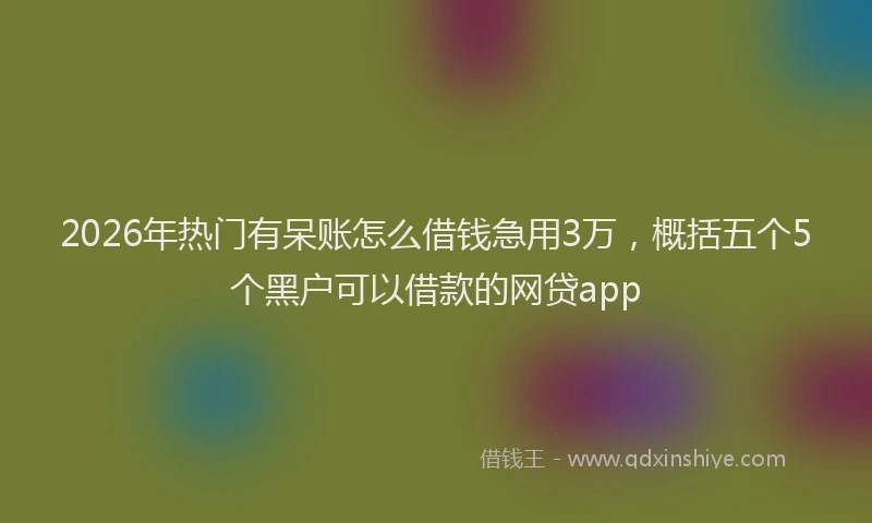 2026年热门有呆账怎么借钱急用3万，概括五个5个黑户可以借款的网贷app