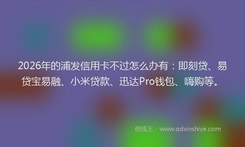 2026年的浦发信用卡不过怎么办有:即刻贷、易贷宝易融、小米贷款、迅达Pro钱包、嗨购等。