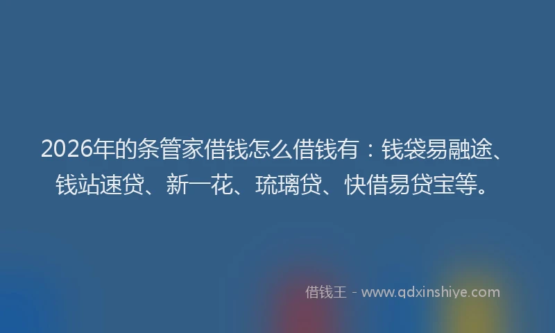 2026年的条管家借钱怎么借钱有：钱袋易融途、钱站速贷、新一花、琉璃贷、快借易贷宝等。