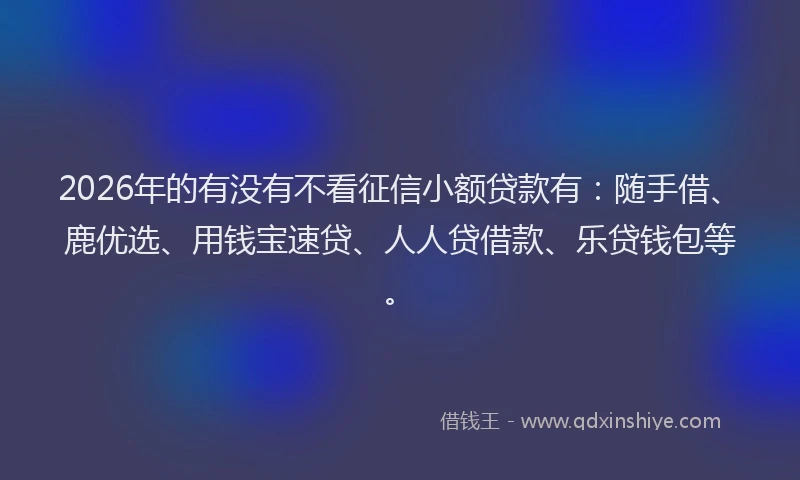2026年的有没有不看征信小额贷款有：随手借、鹿优选、用钱宝速贷、人人贷借款、乐贷钱包等。