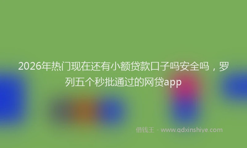 2026年热门现在还有小额贷款口子吗安全吗,罗列五个秒批通过的网贷app